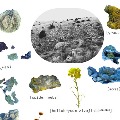 Landscape, Tactile Me: How We Belonged?