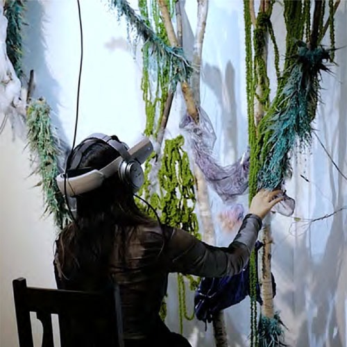 Sensing Nature