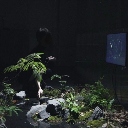 Sensus Pond: Exploring Water as Sensing Medium for More-than-Human Observation