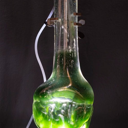 Spectrospira: A Case of Designing and Displaying a Cyanobacteria Photobioreactor
